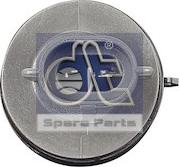 DT Spare Parts 7.25137 - Бічний ліхтар, покажчик повороту autocars.com.ua