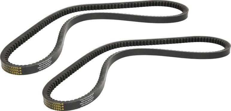 DT Spare Parts 754874 - Комплект клинового ременя autocars.com.ua