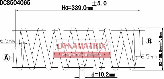 Dynamatrix DCS504065 - Пружина ходовой части avtokuzovplus.com.ua