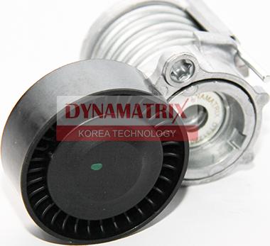 Dynamatrix DT31220 - Паразитний / провідний ролик, поліклиновий ремінь autocars.com.ua