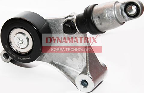 Dynamatrix DT61013 - Направляющий ролик, поликлиновый ремень avtokuzovplus.com.ua