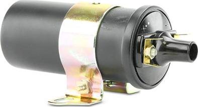 EFI 155198 - Котушка запалювання autocars.com.ua