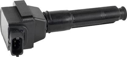 EFI 155438 - Котушка запалювання autocars.com.ua