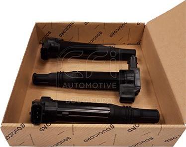 EFI 155501P - Котушка запалювання autocars.com.ua
