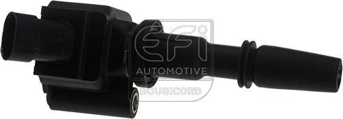 EFI 155542 - Котушка запалювання autocars.com.ua