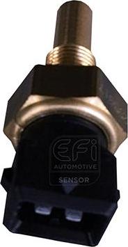 EFI 295017 - Датчик, температура масла autocars.com.ua