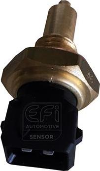 EFI 295019 - Датчик, температура масла autocars.com.ua
