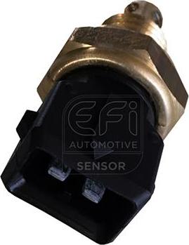 EFI 295020 - Датчик, температура впускається autocars.com.ua