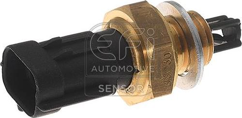 EFI 295048 - Датчик, температура впускається autocars.com.ua