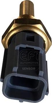 EFI 295052 - Датчик, температура охолоджуючої рідини autocars.com.ua