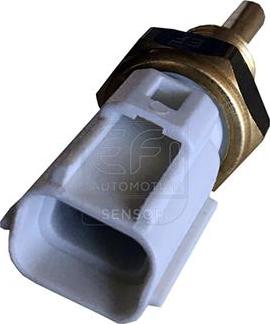 EFI 295055 - Датчик, температура охолоджуючої рідини autocars.com.ua