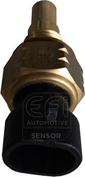EFI 295066 - Датчик, температура охолоджуючої рідини autocars.com.ua
