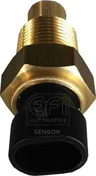 EFI 295067 - Датчик, температура охолоджуючої рідини autocars.com.ua