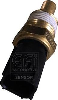 EFI 295068 - Датчик, температура охолоджуючої рідини autocars.com.ua