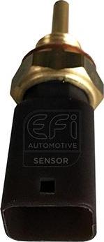 EFI 295145 - Датчик, температура охолоджуючої рідини autocars.com.ua