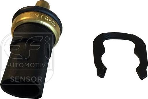 EFI 295163 - Датчик, температура охолоджуючої рідини autocars.com.ua