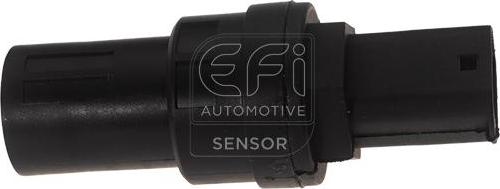 EFI 304007 - Датчик, швидкість, частота обертання autocars.com.ua
