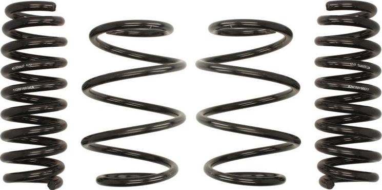 Eibach E10-20-045-01-22 - Комплект ходової частини, пружини autocars.com.ua