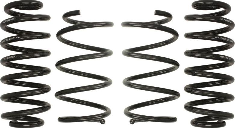 Eibach E10-79-010-01-22 - Комплект ходової частини, пружини autocars.com.ua