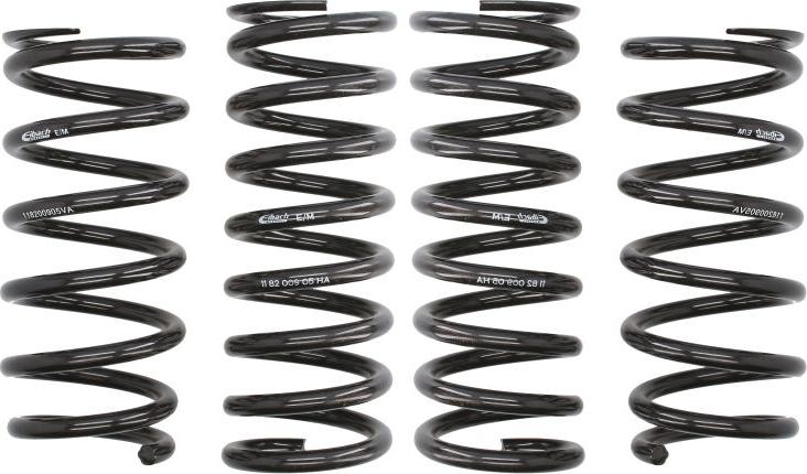 Eibach E10-82-009-05-22 - Комплект ходової частини, пружини autocars.com.ua