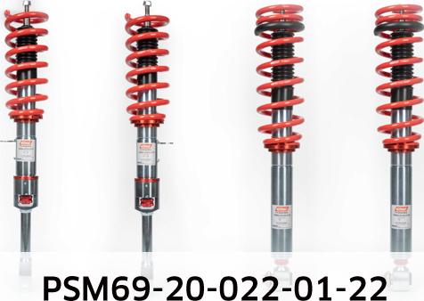 Eibach PSM69-20-022-01-22 - Комплект ходової частини, пружини / амортизатори autocars.com.ua