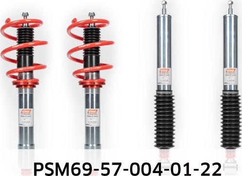 Eibach PSM69-57-004-01-22 - Комплект ходової частини, пружини / амортизатори autocars.com.ua