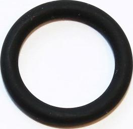 Elring 283.410 - Уплотнительное кольцо, трубка охлаждающей жидкости autodnr.net