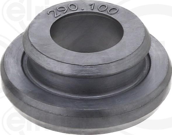Elring 290.100 - Прокладка, болт кришка головки циліндра autocars.com.ua