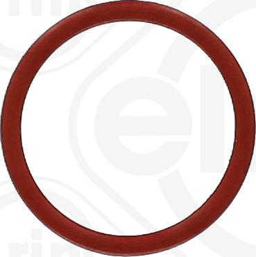 Elring 456.670 - Уплотнительное кольцо autodnr.net