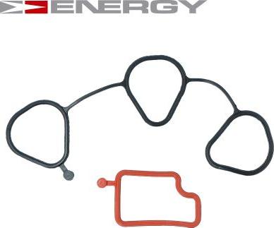 ENERGY 96352281 - Комплект прокладок, впускний колектор autocars.com.ua