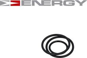ENERGY G10029 - Топливный насос autodnr.net