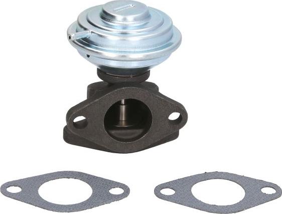 ENGITECH ENT500137 - Клапан повернення ОГ autocars.com.ua