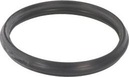 EPS 1.890.720 - Прокладка, термостат autocars.com.ua