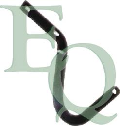 Equal Quality C00113 - Шарнір, капот autocars.com.ua