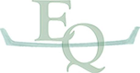 Equal Quality G0165 - Решітка радіатора autocars.com.ua
