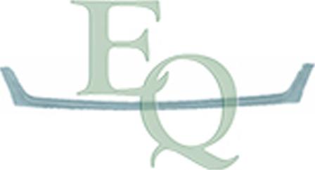 Equal Quality G0167 - Насадка, решітка радіатора autocars.com.ua