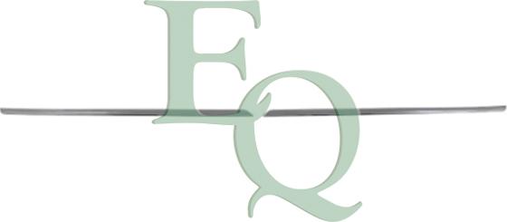 Equal Quality G5181 - Облицювання / захисна накладка, облицювання радіатора autocars.com.ua