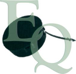 Equal Quality P6409 - Заслінка, буксирний гак autocars.com.ua