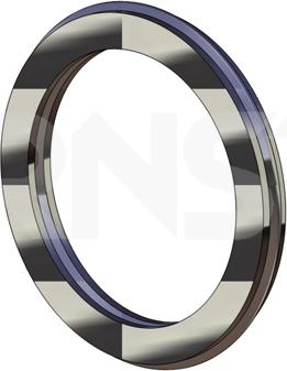 ERNST 489935 - Уплотнительное кольцо, труба выхлопного газа autodnr.net