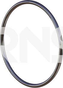 ERNST 491716 - Уплотнительное кольцо, труба выхлопного газа avtokuzovplus.com.ua