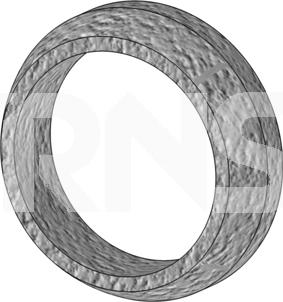 ERNST 492195 - Уплотнительное кольцо, труба выхлопного газа autodnr.net