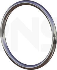 ERNST 493130 - Уплотнительное кольцо, труба выхлопного газа avtokuzovplus.com.ua