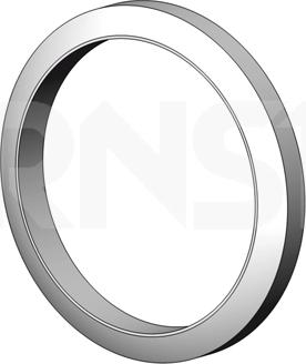 ERNST 495561 - Уплотнительное кольцо, труба выхлопного газа autodnr.net