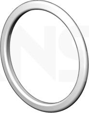 ERNST 499323 - Уплотнительное кольцо, труба выхлопного газа autodnr.net