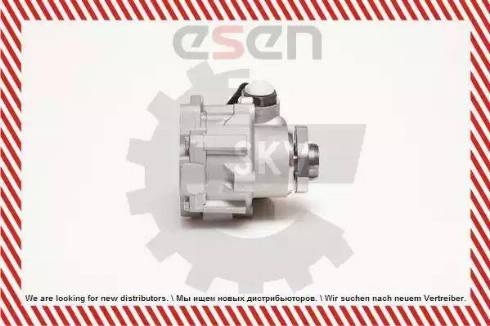 Esen SKV 10SKV099 - Гидравлический насос, рулевое управление, ГУР car-mod.com