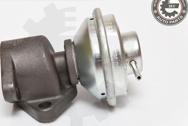 Esen SKV 14SKV051 - Клапан повернення ОГ autocars.com.ua
