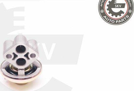 Esen SKV 14SKV130 - Клапан повернення ОГ autocars.com.ua