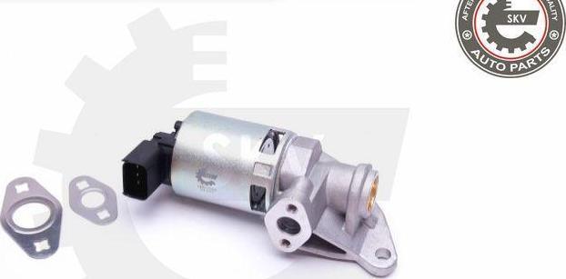 Esen SKV 14SKV208 - Клапан повернення ОГ autocars.com.ua