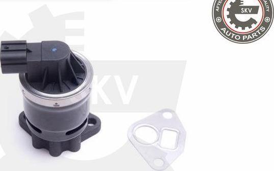 Esen SKV 14SKV210 - Клапан повернення ОГ autocars.com.ua