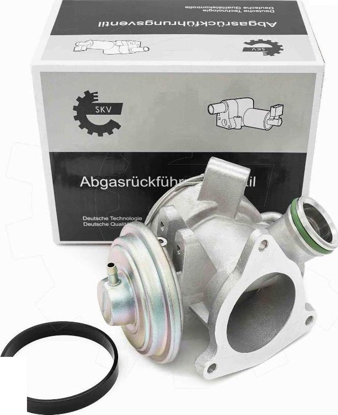 Esen SKV 14SKV242 - Клапан повернення ОГ autocars.com.ua